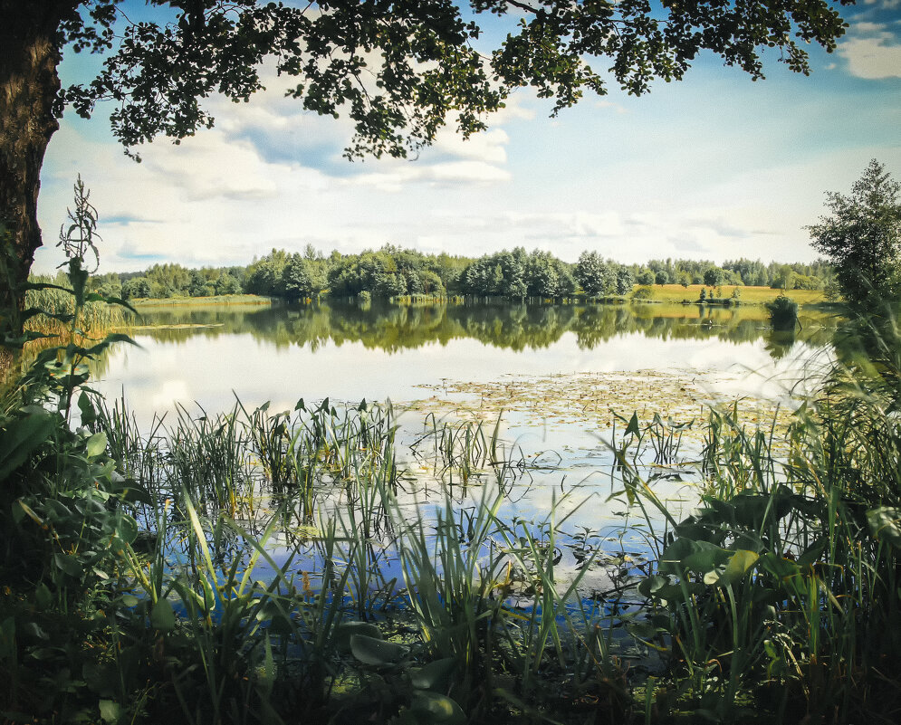 озеро - Олег Подлесных