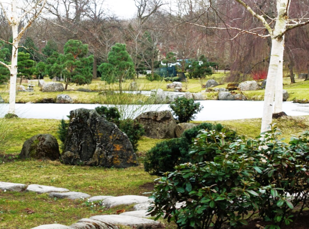 Конец марта 2026г. в Японском саду - Aida10 