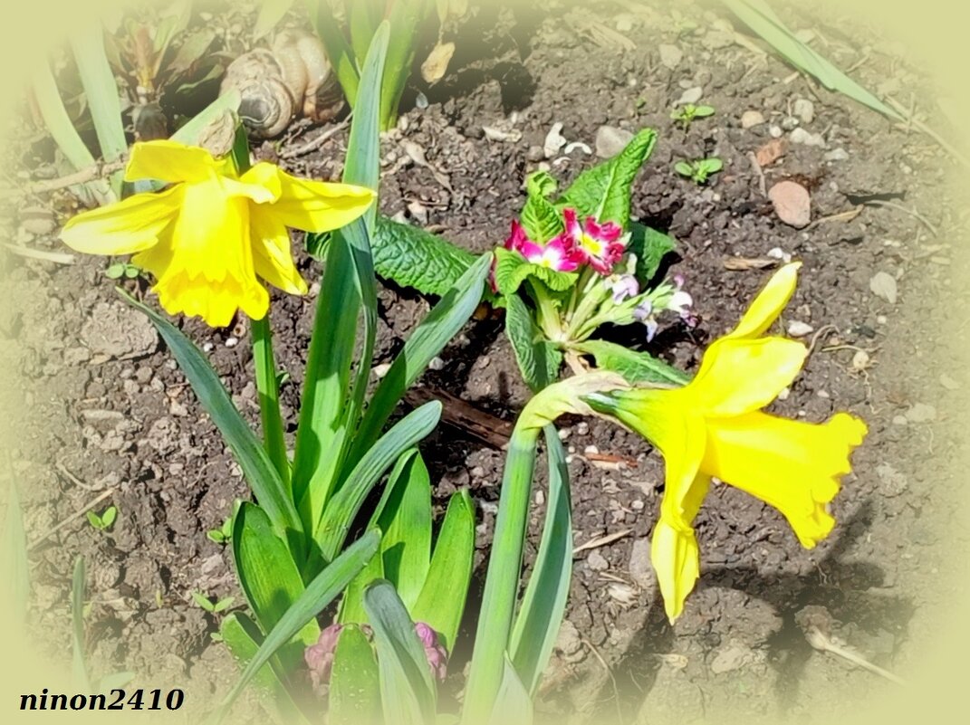 Ростовская весна - Нина Бутко