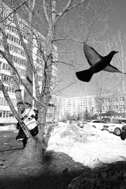 Доброе утро - Сергей Матвеенко