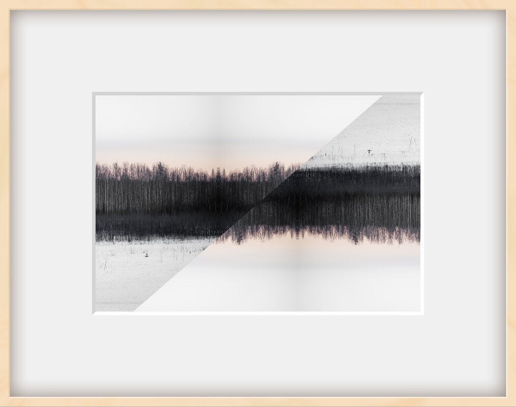 Лес - Илья Шенгелия