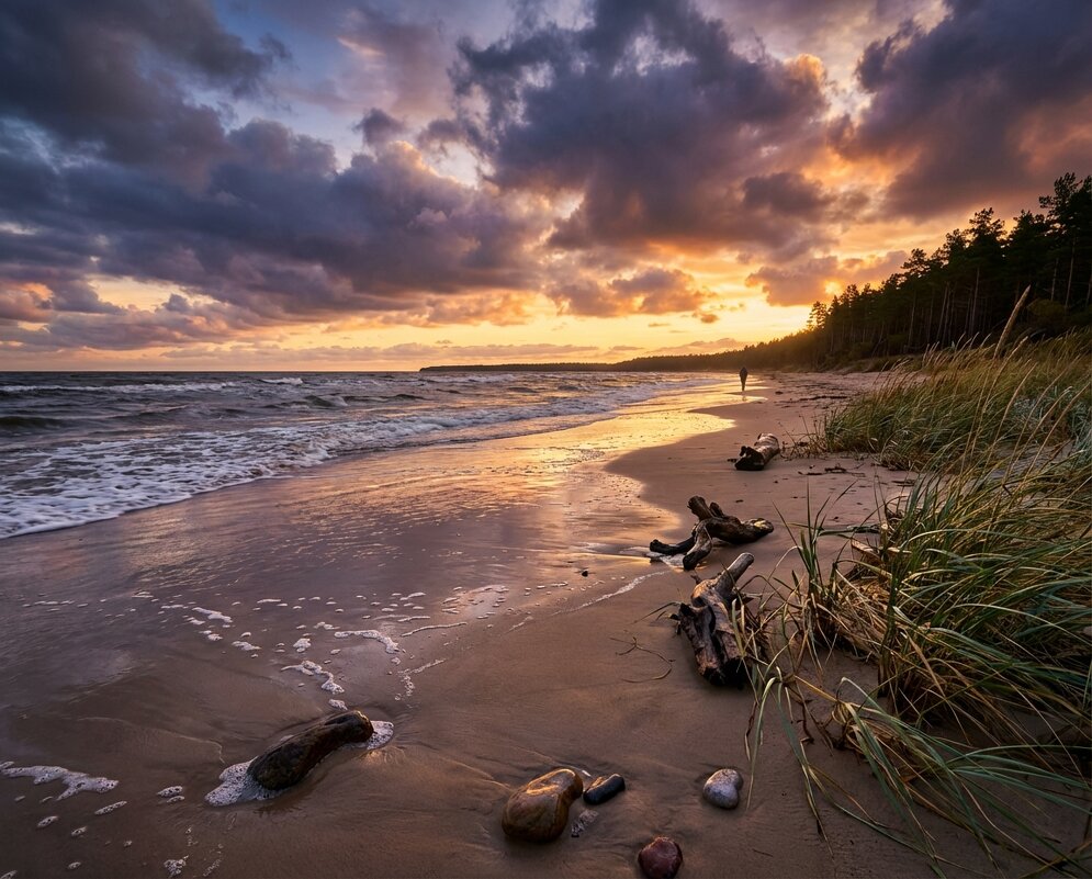 Пляж на закате - Лилия 