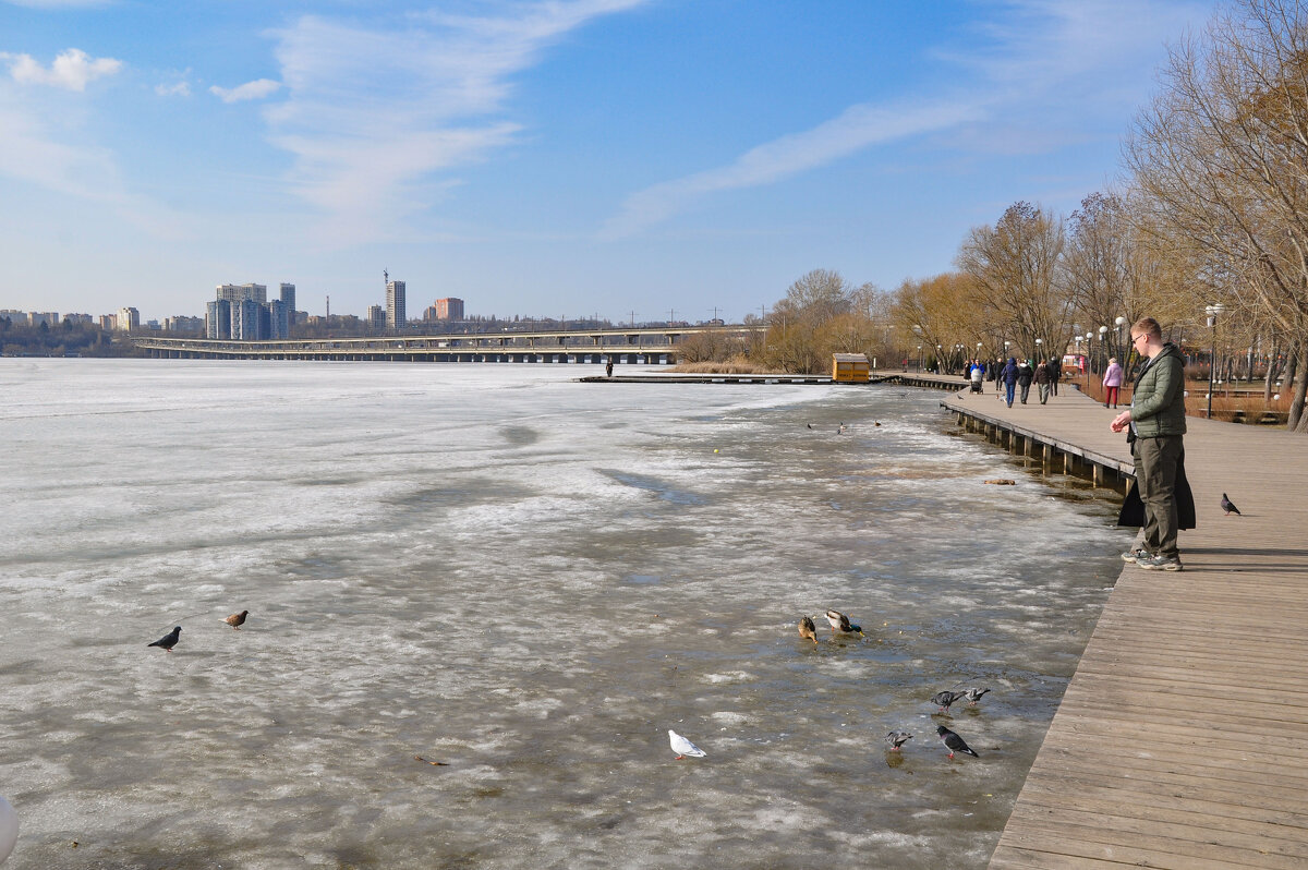 Кормление птиц - Татьяна Машошина