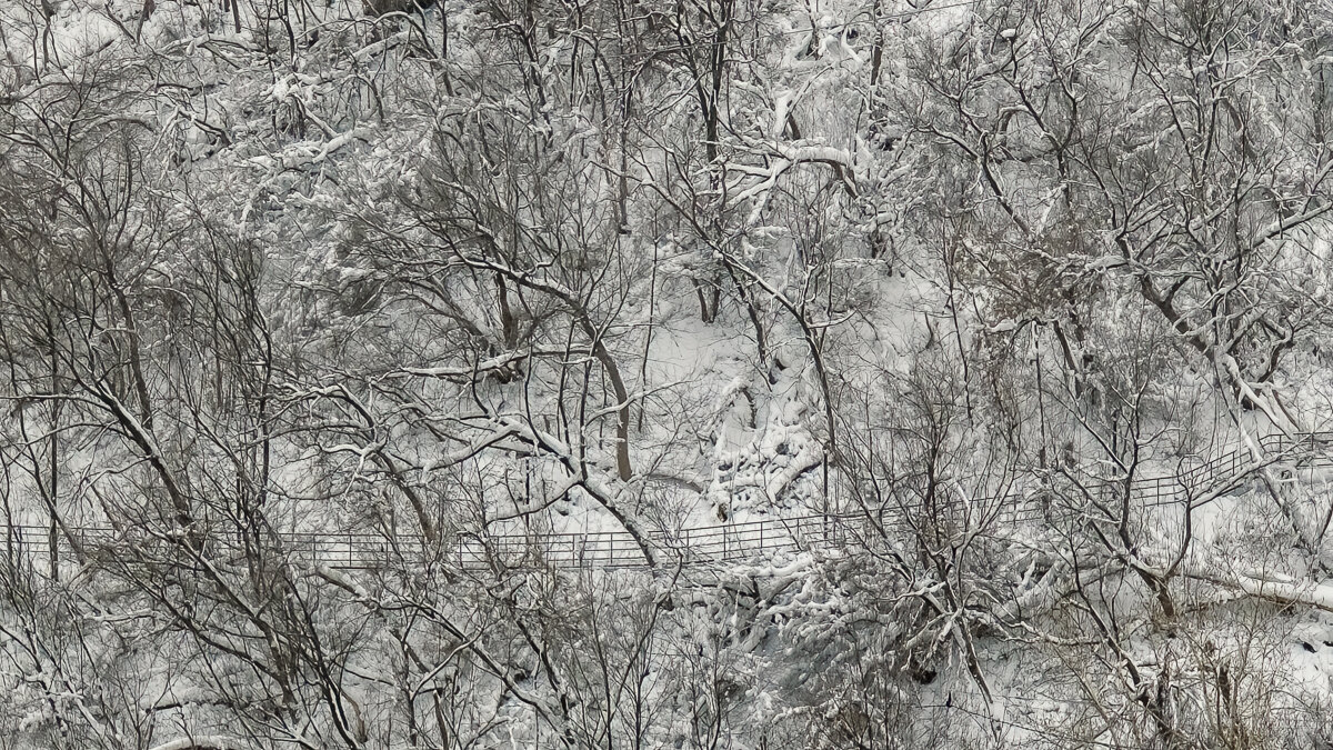 Зимние узоры - Сергей Шатохин 