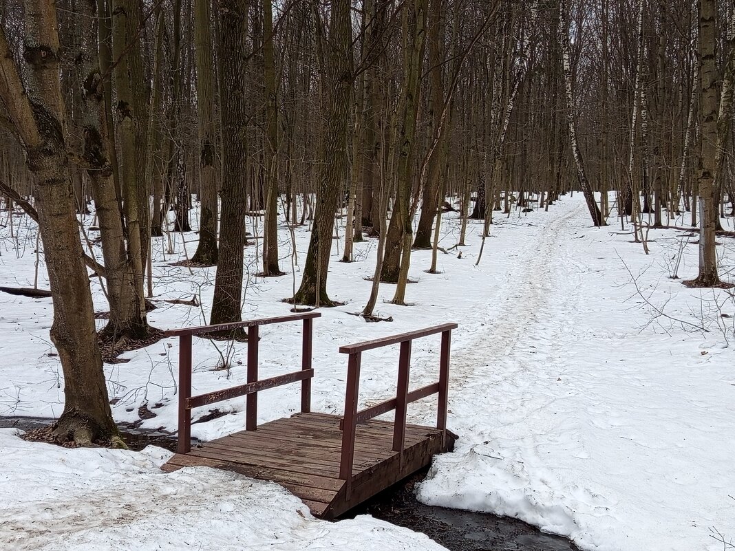 Мосты всегда что-то соединяют - Андрей Лукьянов