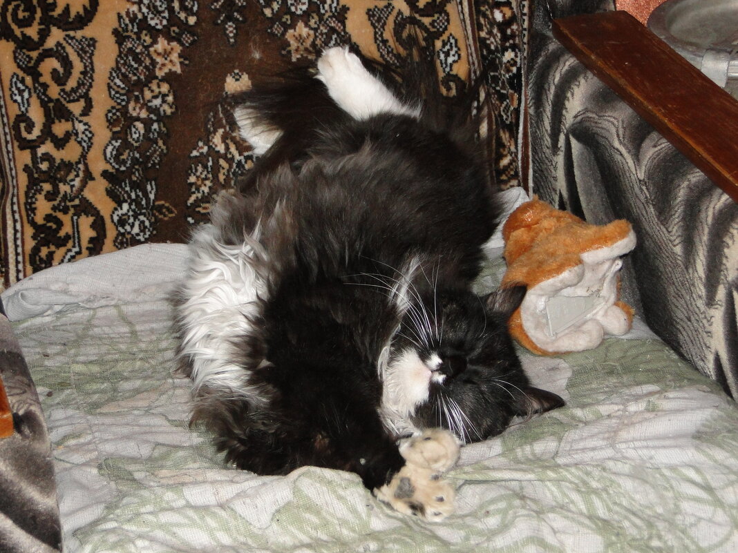 отдых после прогулки - Наталья Штанулина