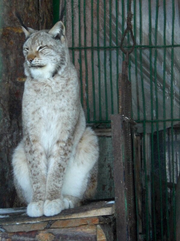 Скучно то как - Savayr 