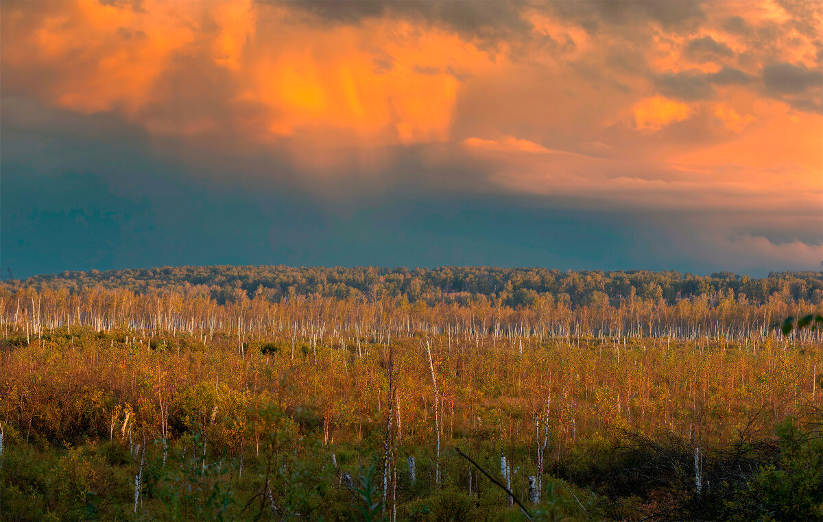 Закатное небо на Соповском болоте. - Евгений Голубев