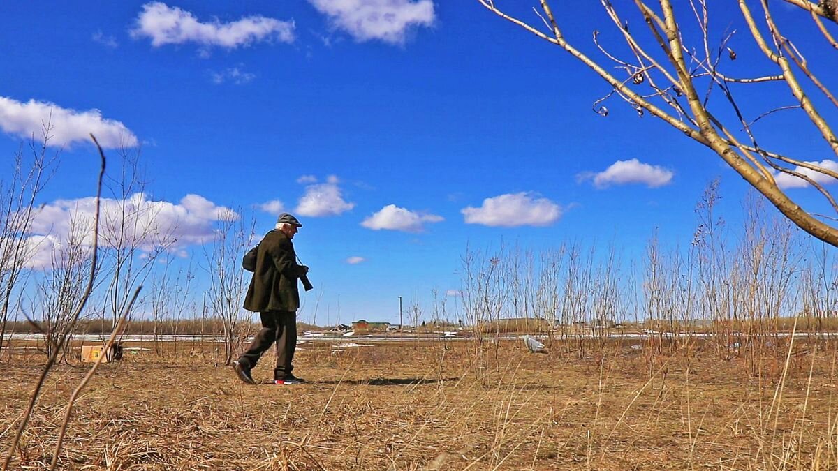 Май...По берегу Юганской Оби- с фотокамерой! - Владимир 