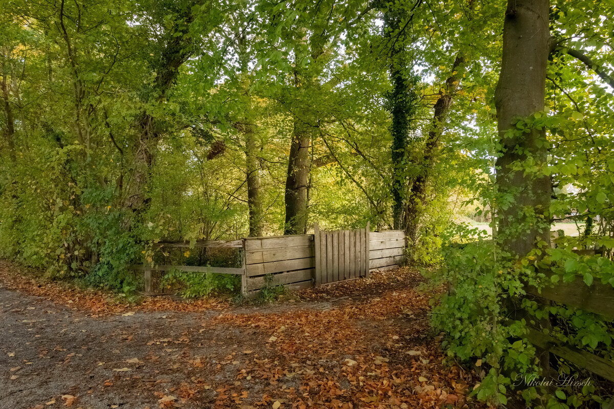 С деревянным забором... - Николай Гирш