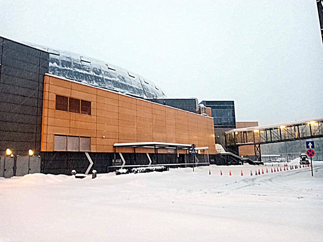 Гудзон. - Владимир Драгунский