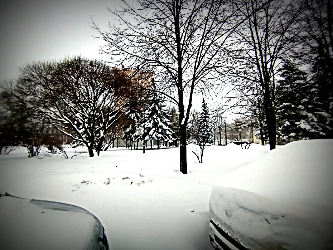 Зима. - Владимир Драгунский