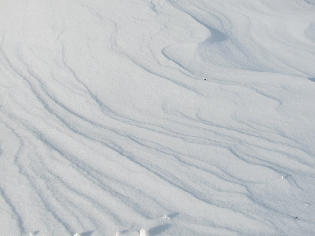 февраль - Елена Шаламова