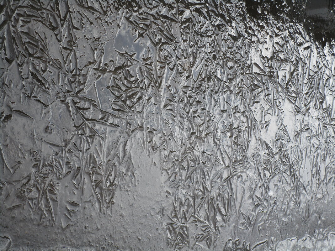 Вариации на тему : мятая лужа - Елена Шаламова