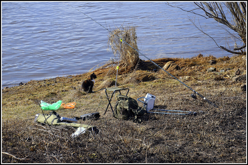 Рыбнадзор пришел... - Aleksandr Gal Рыбнадзор пришел... - Aleksandr Gal