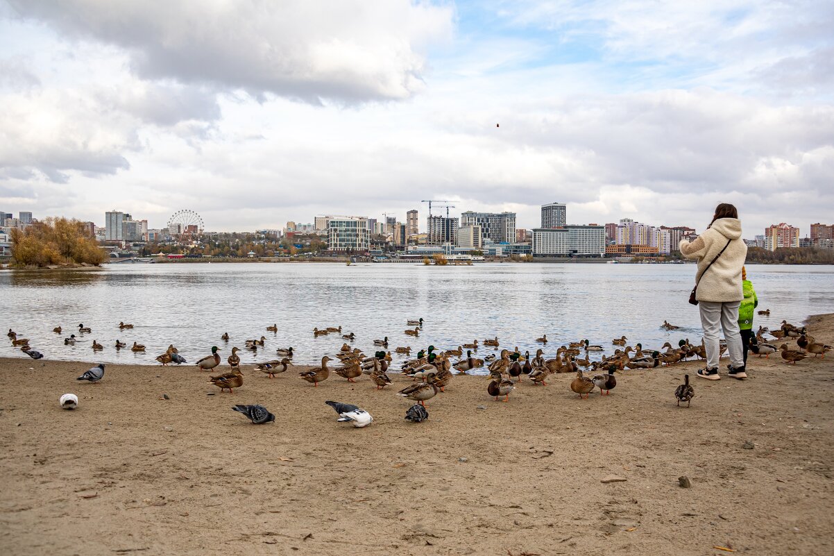 Немного живой природы в мегаполисе - Елена Черненко