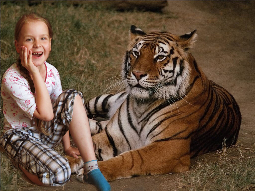 ... - Алла Кочергина