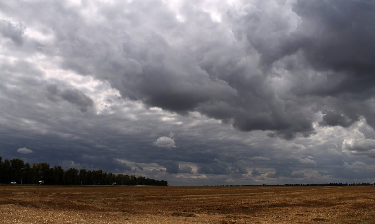 кажется дождь собирается... - Александр Герасенков