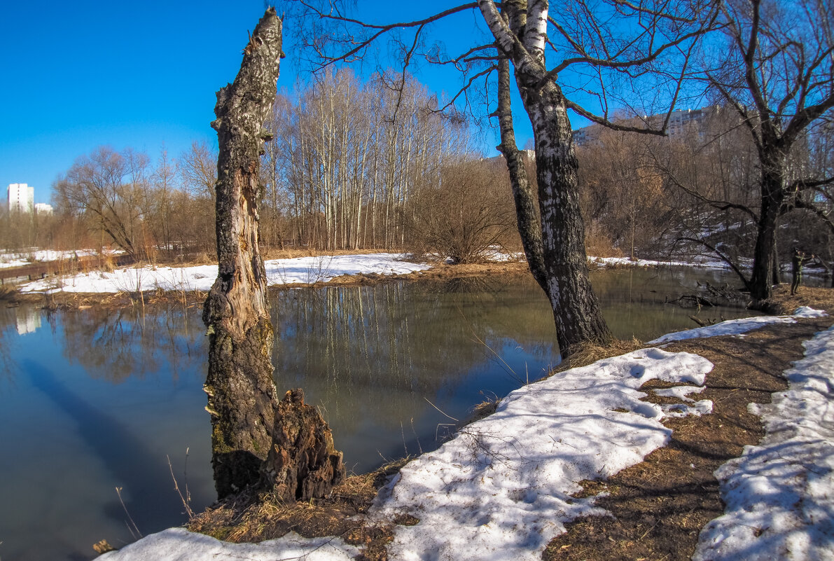 Весенние - юрий поляков