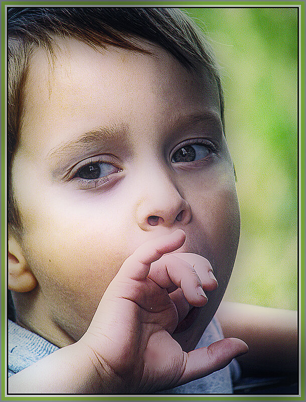 Тёмик - Владимир Кроливец