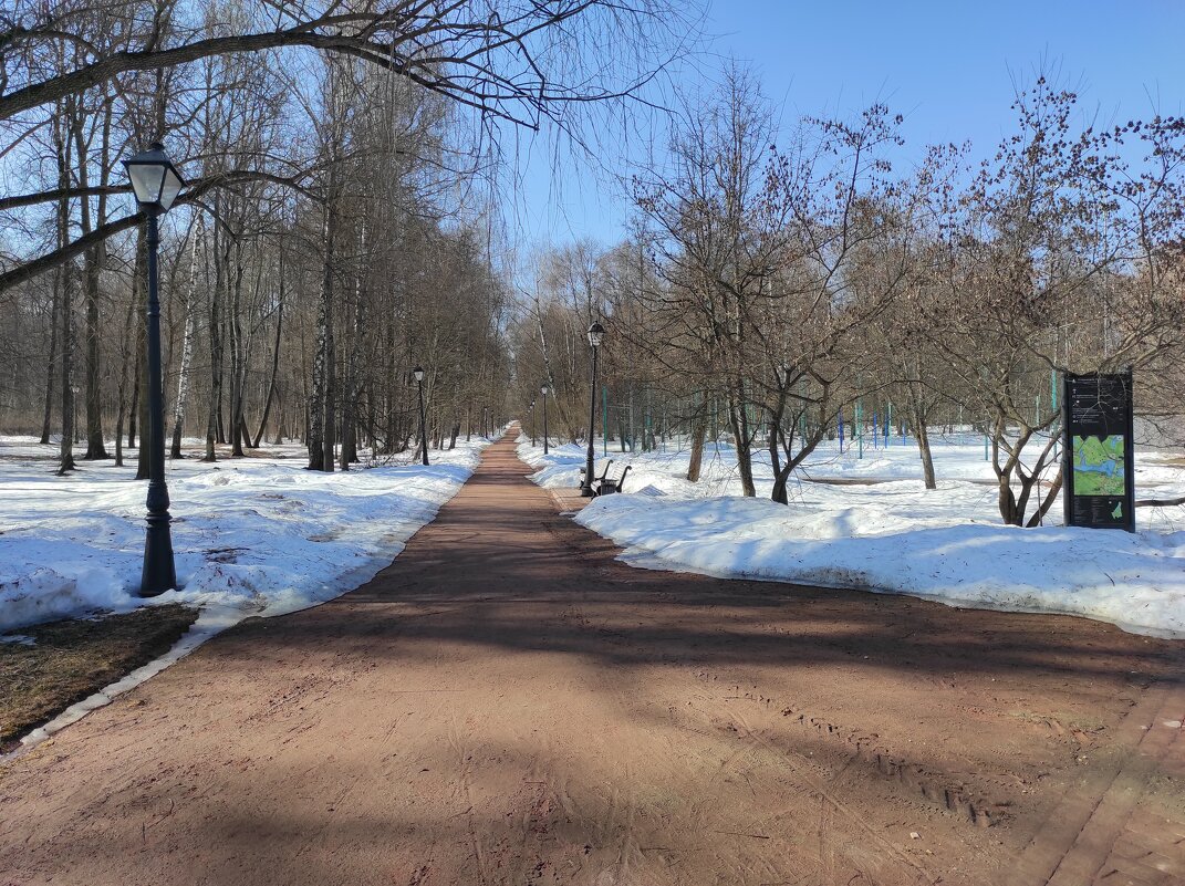 Пустынная аллея - Игорь Ч. Пустынная аллея - Игорь Ч.