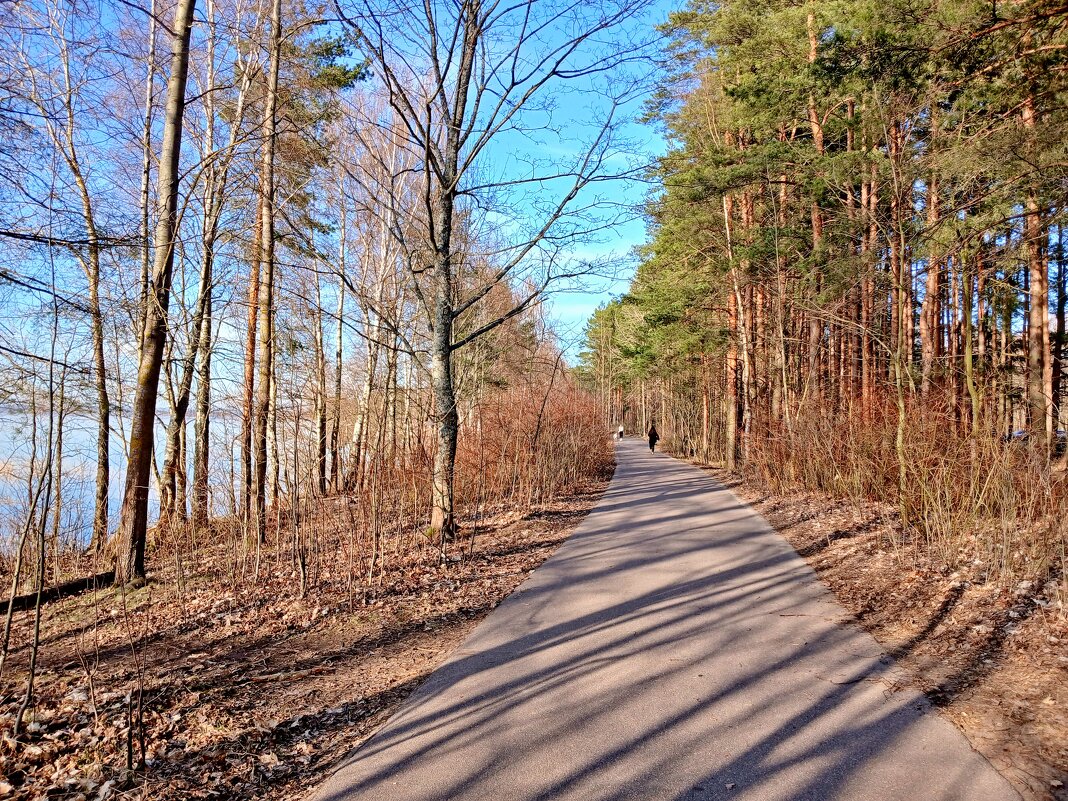 Аллея вдоль озера. - Лия ☼ Аллея вдоль озера. - Лия ☼