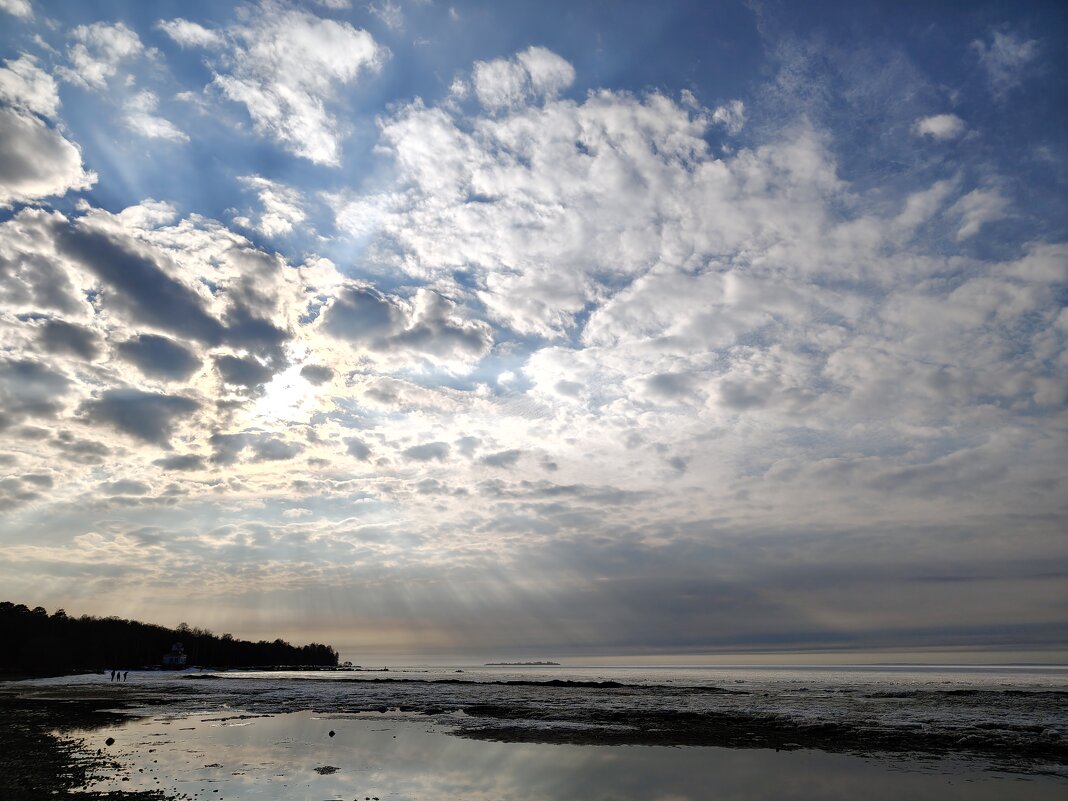 Сегодня , март - Андрей 