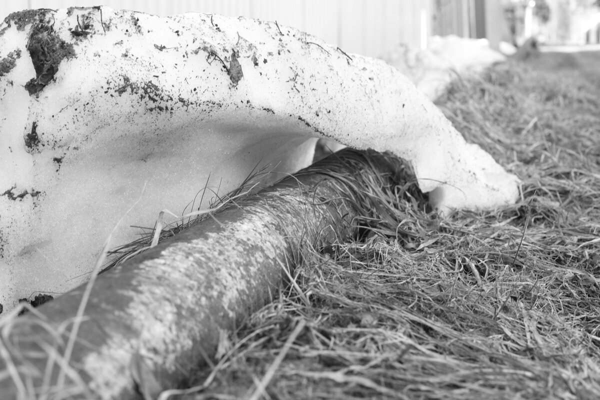 Мечты о ч/б Лейке 84. - Михаил Елочкин Мечты о ч/б Лейке 84. - Михаил Елочкин