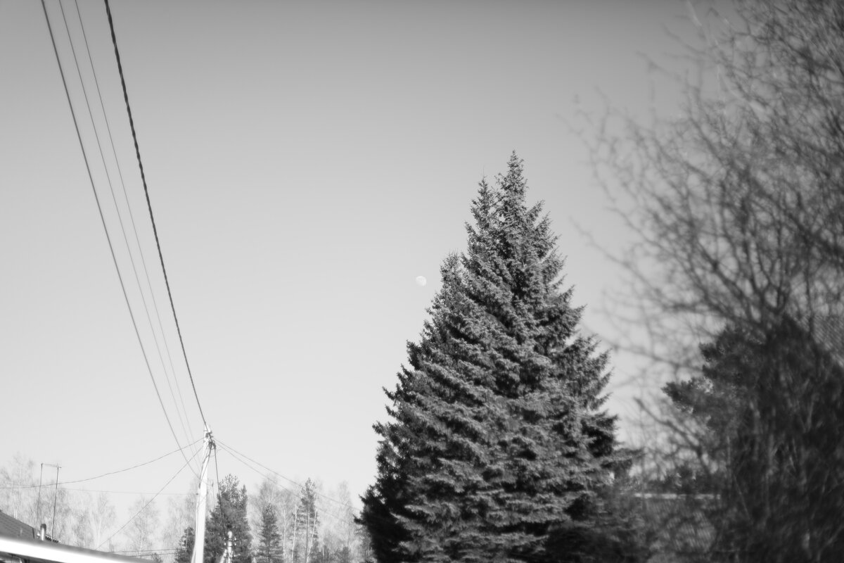 Мечты о ч/б Лейке 86. - Михаил Елочкин Мечты о ч/б Лейке 86. - Михаил Елочкин