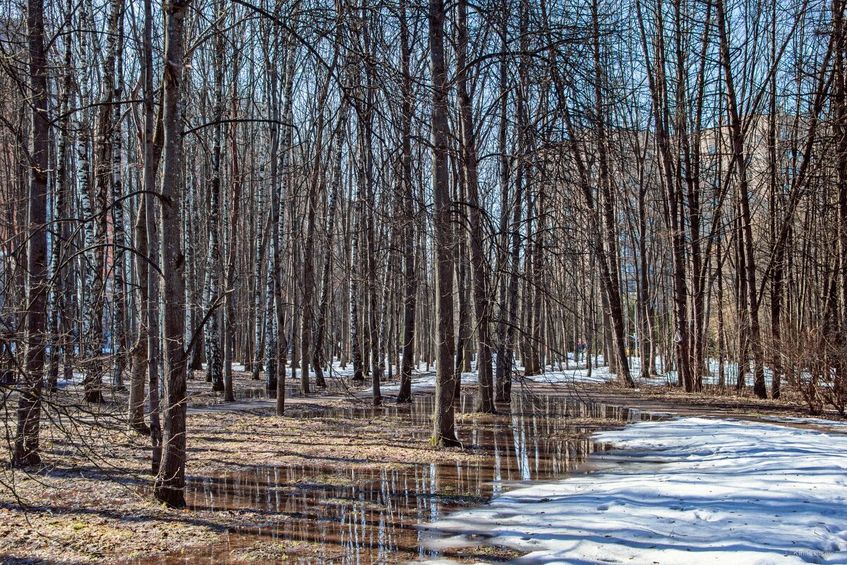Просто посмотри ... - Kirill 