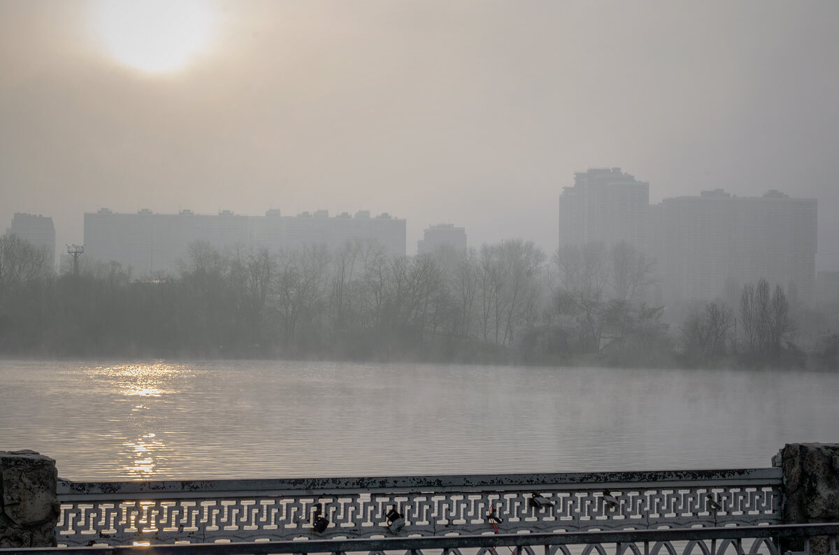 Туманное утро - Игорь Протасов