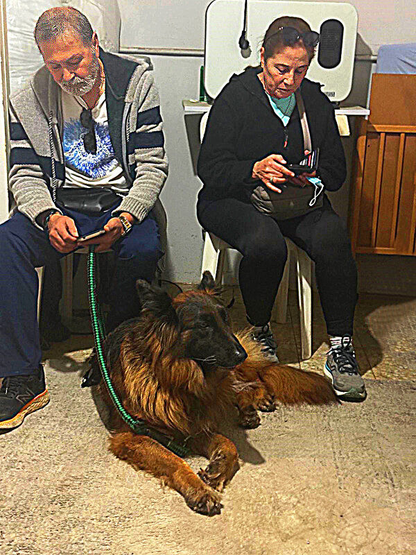 РЕПОРТАЖ   ИЗ   УБЕЖИЩА (4) - Анатолий Малобродский