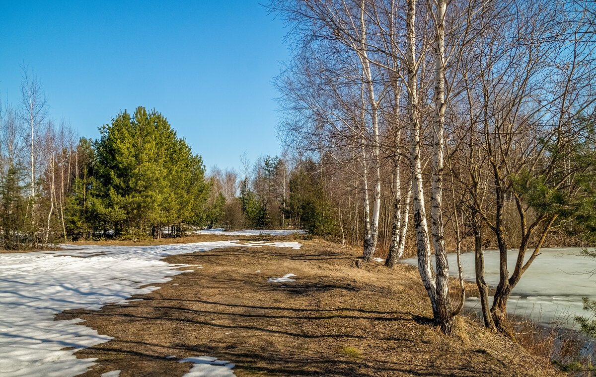 На исходе марта 2 - Андрей Дворников