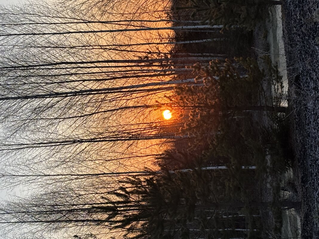 На рассвете - Ольга Савельева 