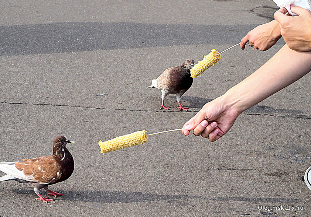 взаимоотношения - Олег Лукьянов взаимоотношения - Олег Лукьянов
