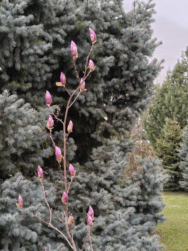 *** - Валерий Ткаченко