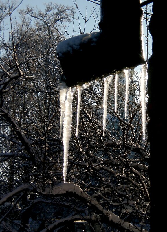 Фотозарисовки - Роман Савоцкий