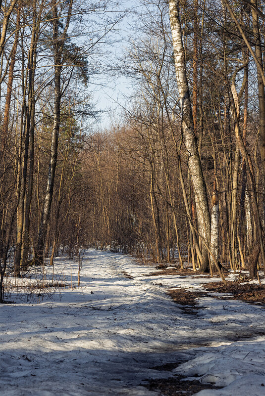 весенними тропами - Michel 