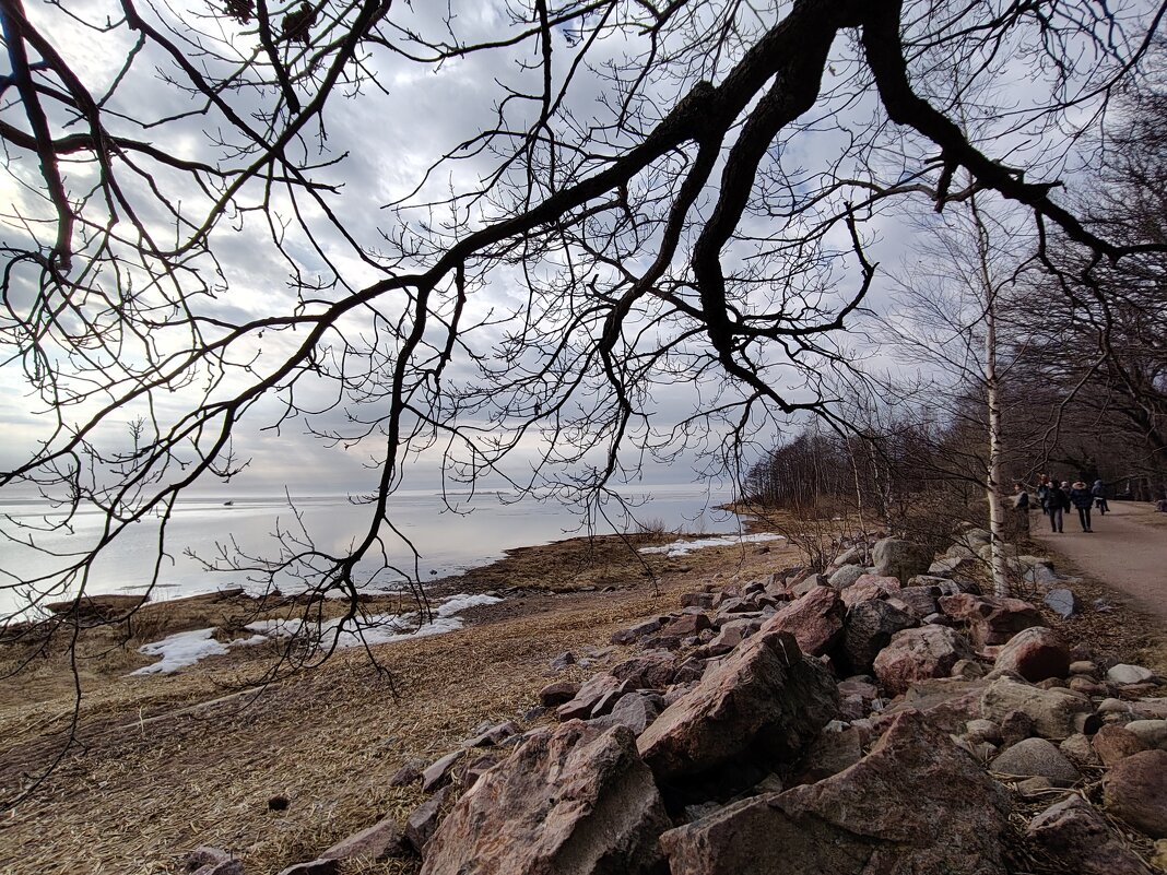 Край России - Андрей 