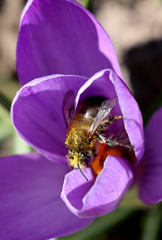Полетеееели... - Александр Кондаков