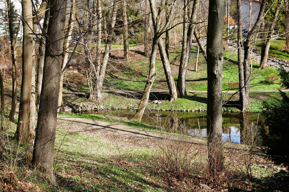 Март, ландшафтный парк, Калининград - Рита Симонова