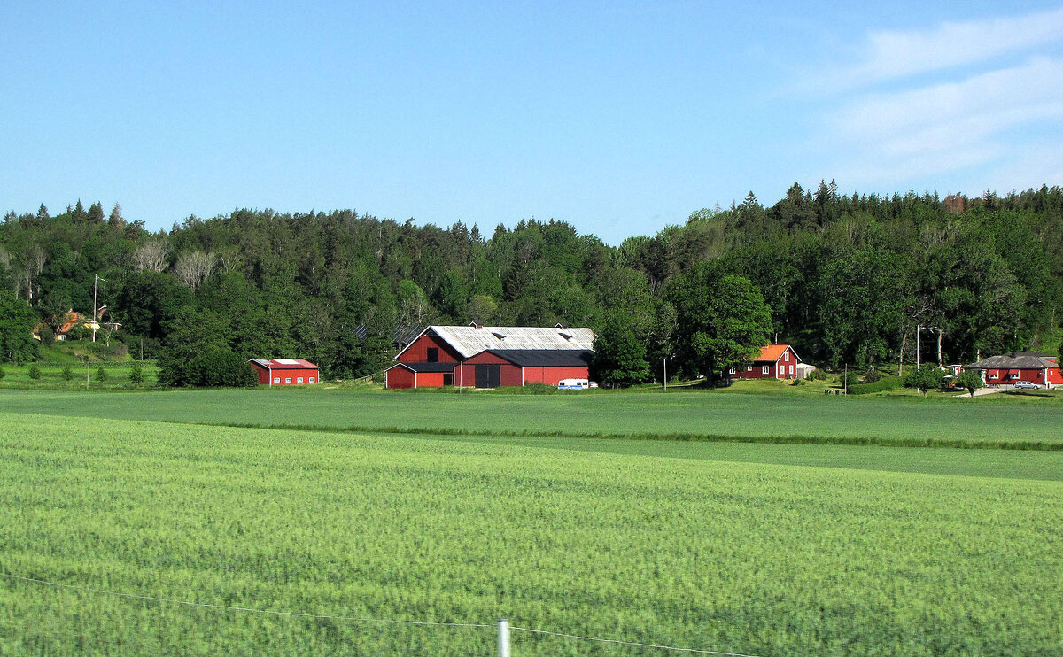 Усадьба Фредриксдал (Fredriksdal Säteri) - Александр Ильчевский 