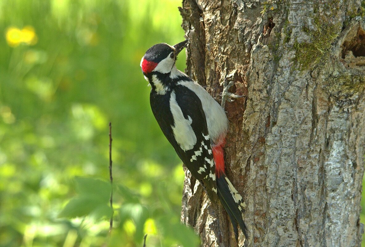 ... - Вячеслав Минаев