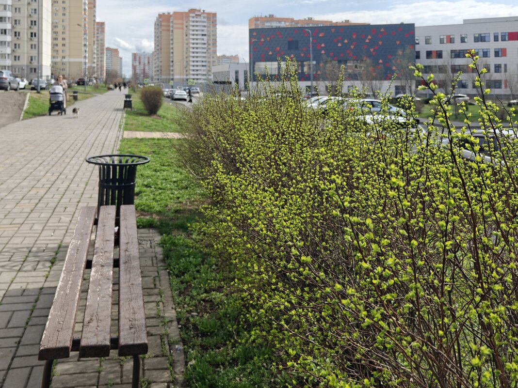 Ростовские зарисовки - Александр Гапоненко