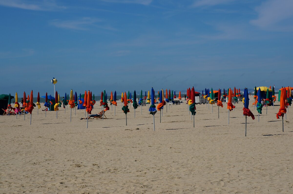 | * | * | - Алёна Савина