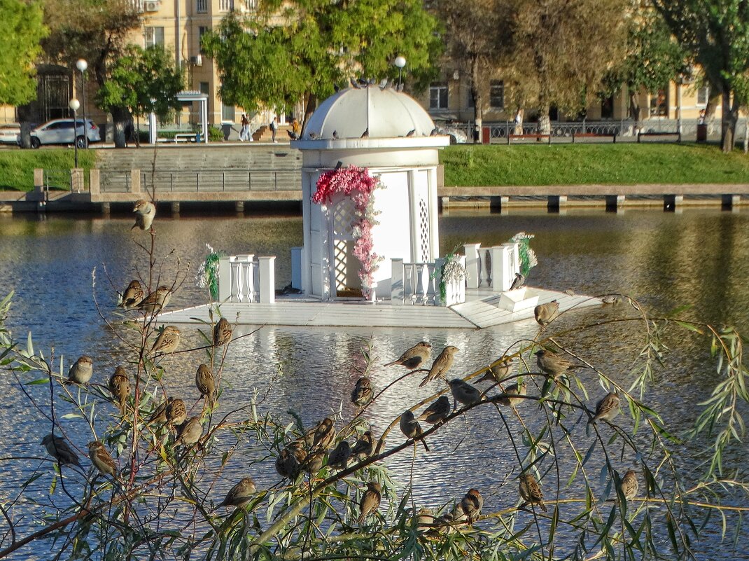 Из астраханского альбома - svk *