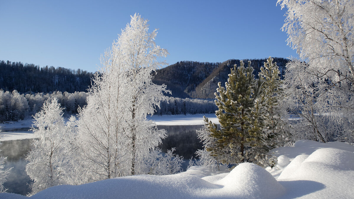 Бия... - владимир 