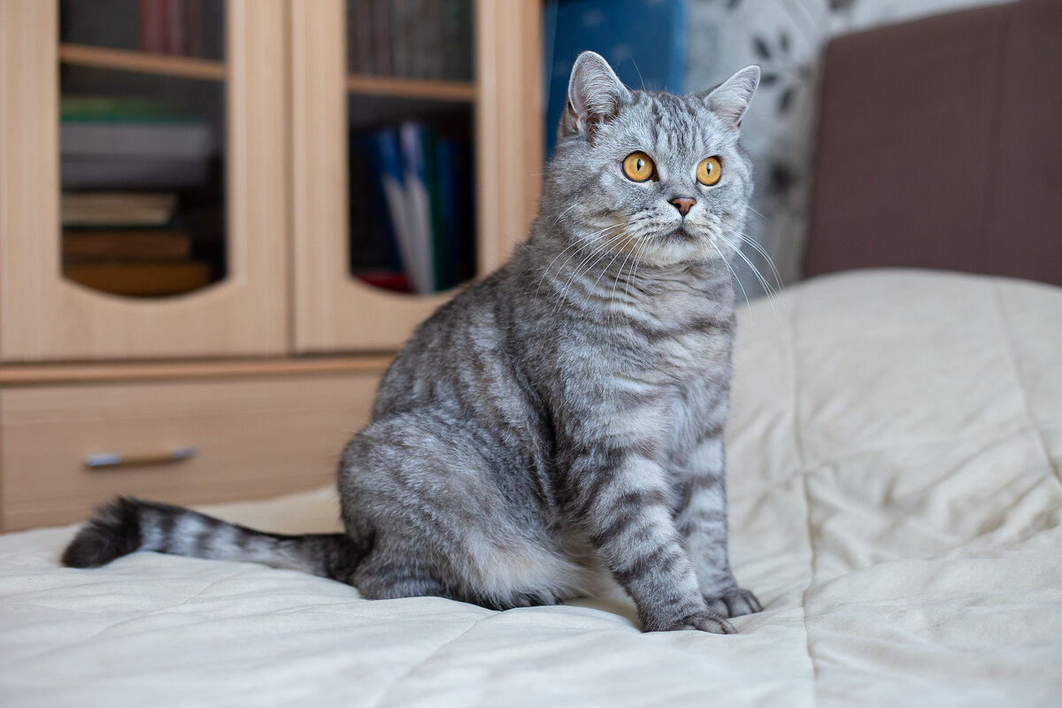 Савелий. - Андрей Дурапов Савелий. - Андрей Дурапов