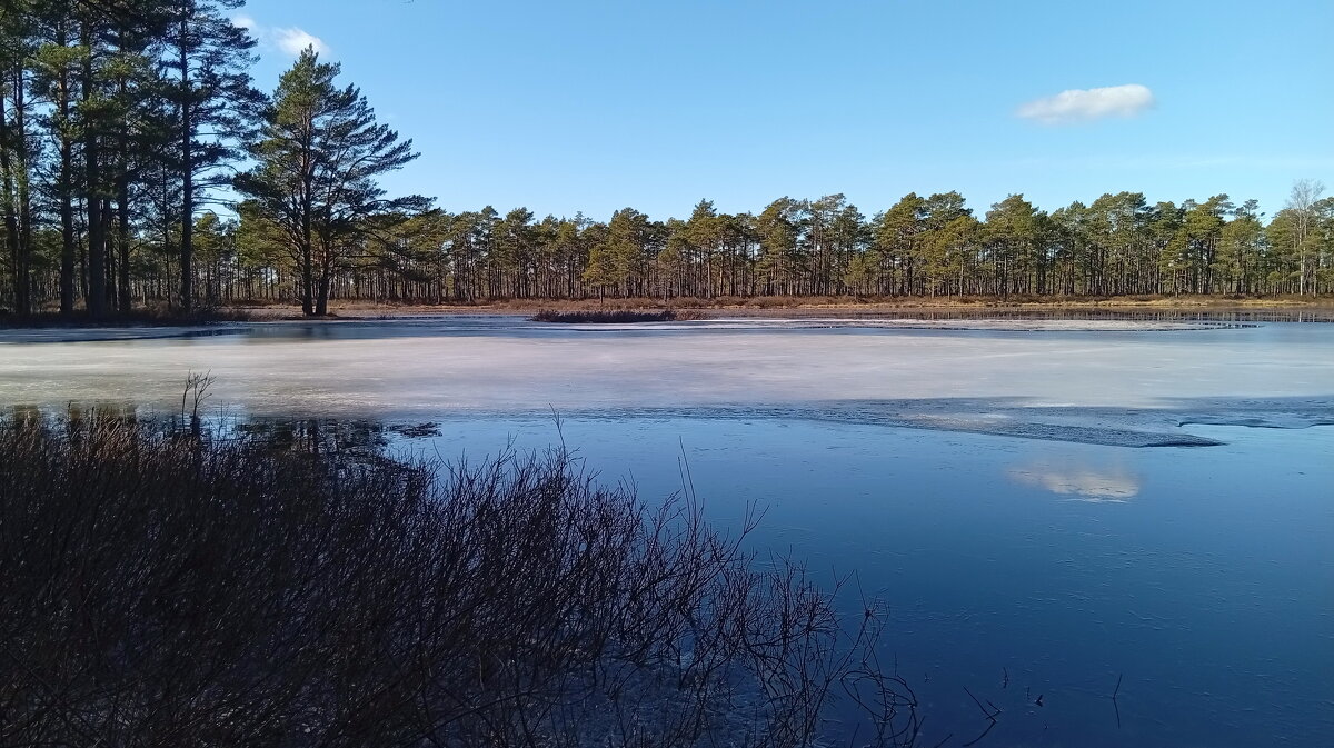 Весенний мотив.. - Татьян@ Ивановна