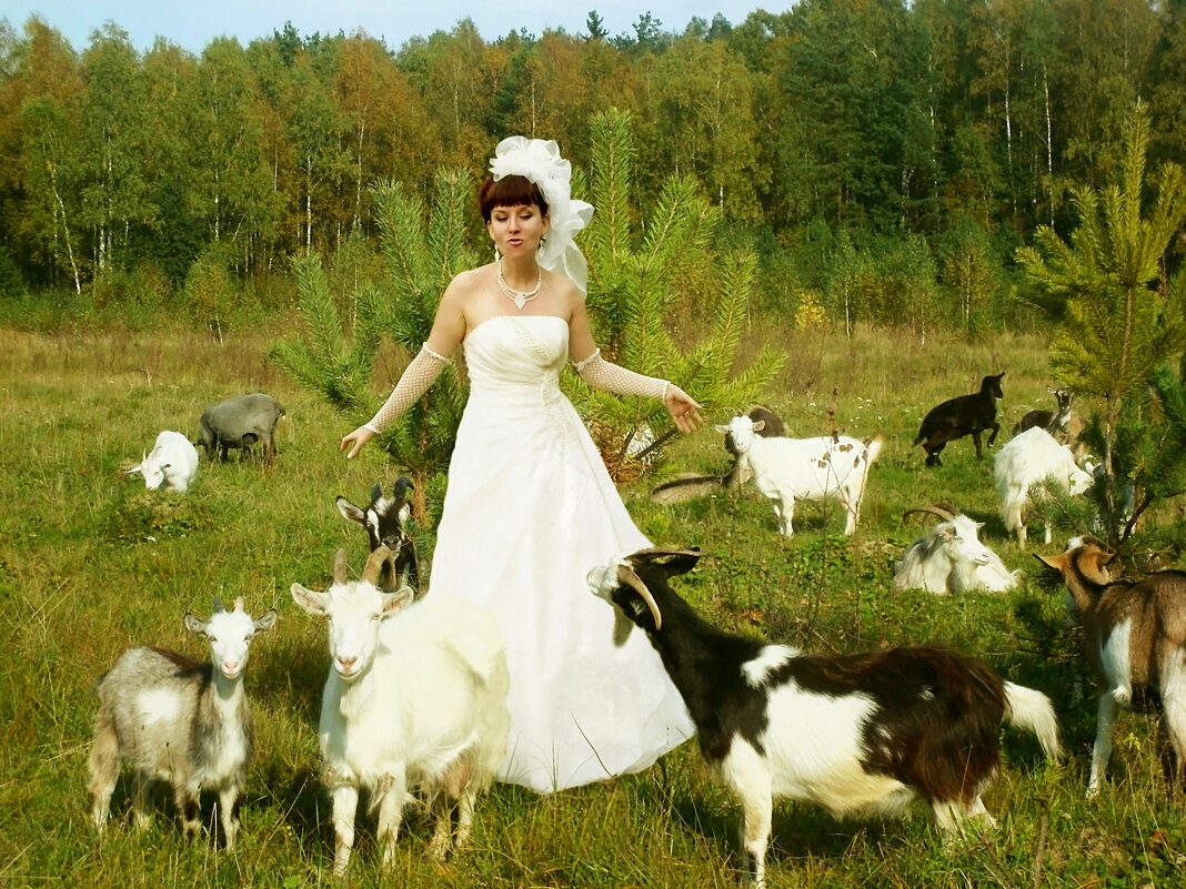 ... - Алла Кочергина ... - Алла Кочергина